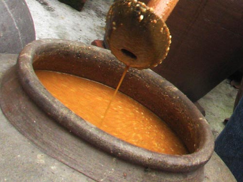 Mua tương bần ngon sạch ở đâu tại Hà Nội?