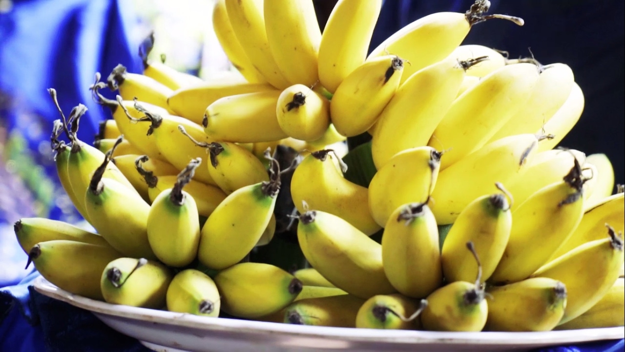 Đặt hàng buồng chuối Ngự tiến vua chuẩn đẹp làm quà biếu