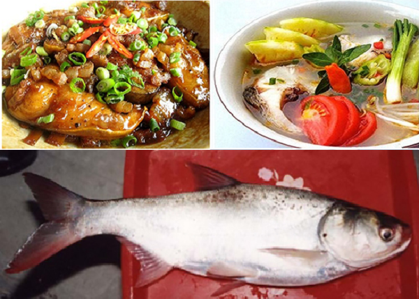 1 số bài thuốc và món ăn từ cá mè