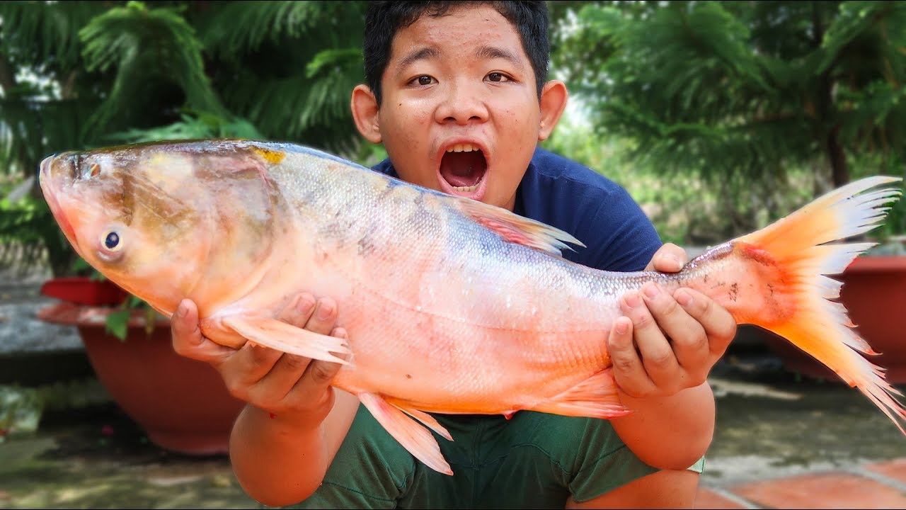 giới thiệu về cá mè