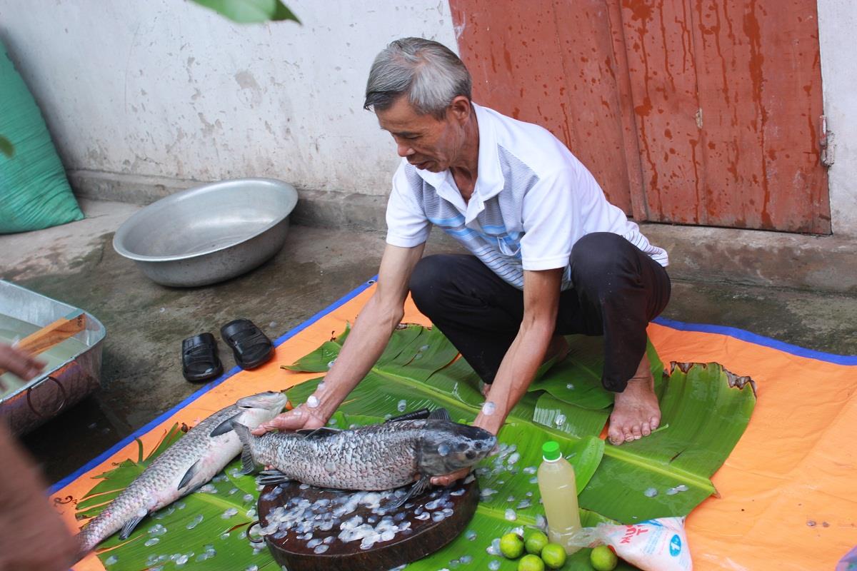 Nguyên liệu là món cá trắm đen kho nghệ