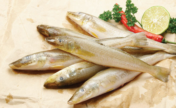 Giá trị dinh dưỡng của cá đục