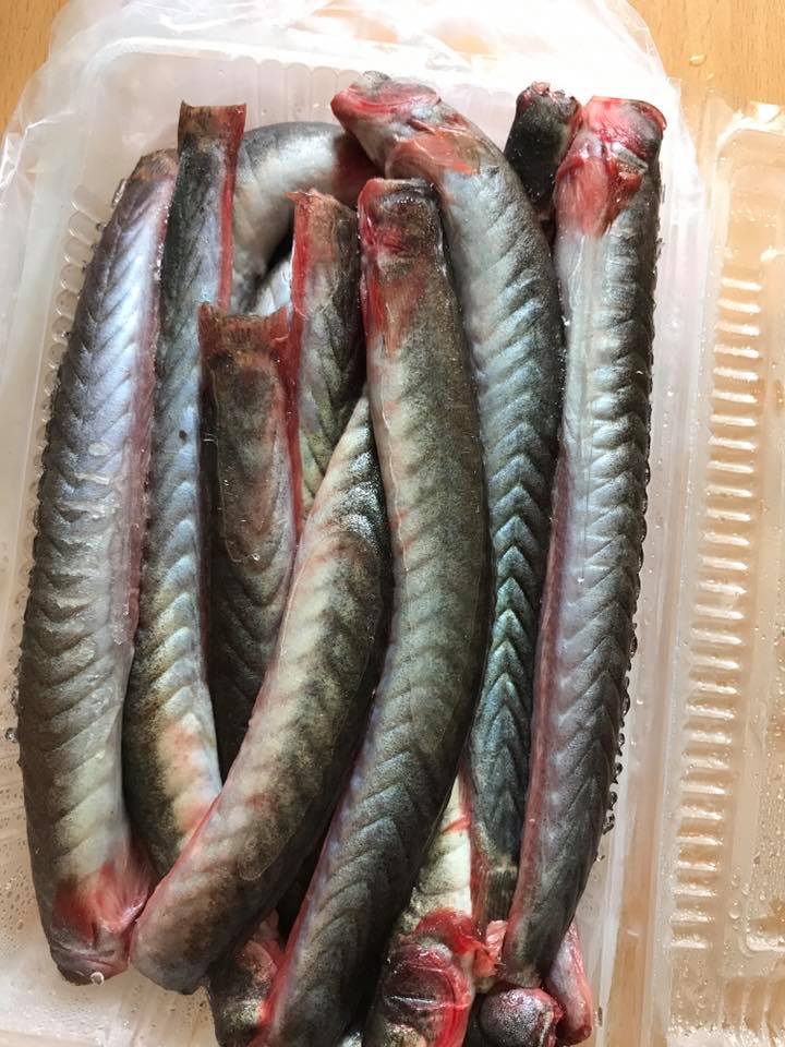 lợi ích tuyệt vời khi ăn cá kèo