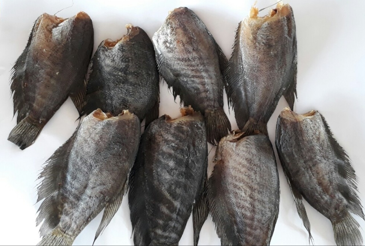 Đôi điều về cá sặc